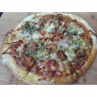 Home made wood fired pizza seasoned with italian spaghetti herbs
